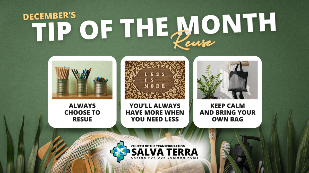 ST_Tip-of-the-Month_Dec