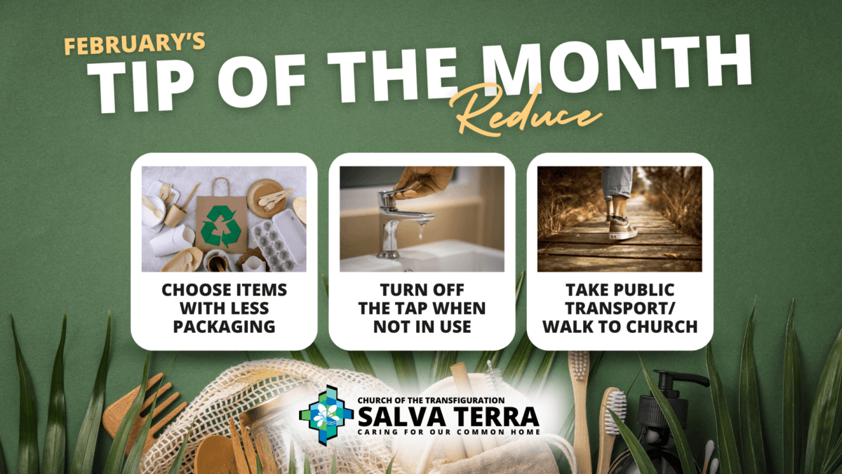 ST_Tip-of-the-Month_FEB