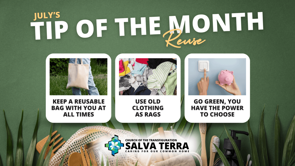 ST_Tip-of-the-Month_JULY