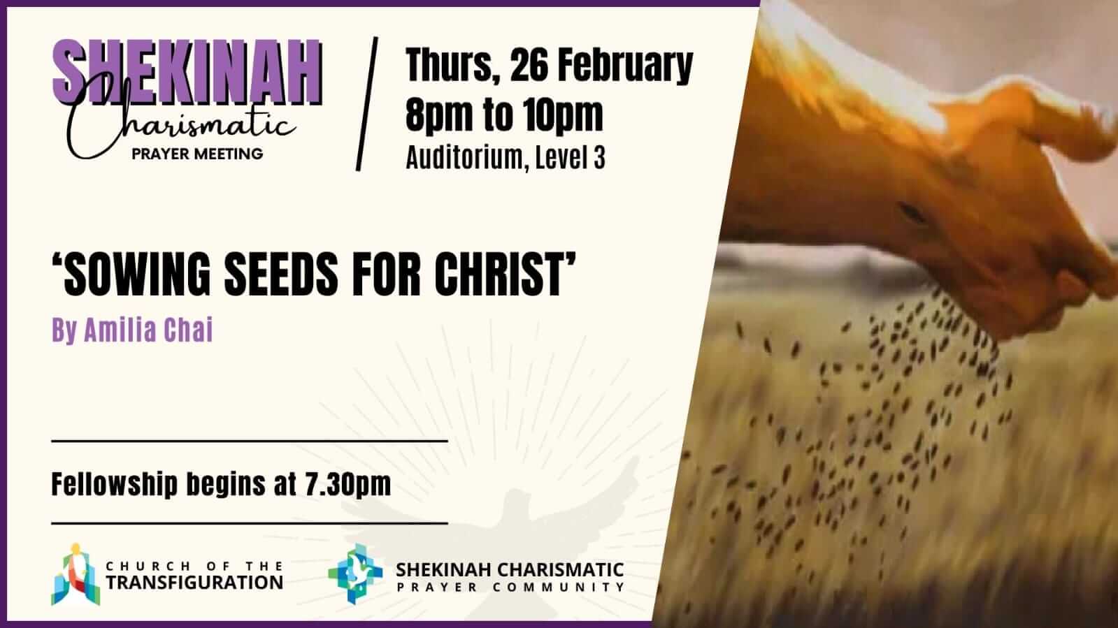 Shekinah_26-Feb