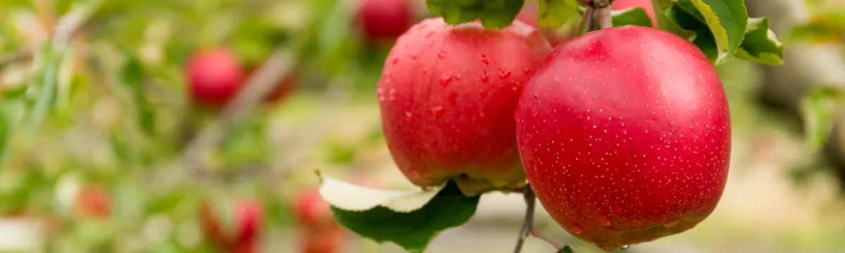 Story 3_pic 2 Story 3_pic 2