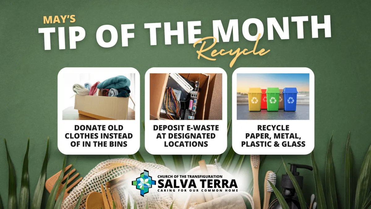 ST_Tip-of-the-Month_MAY