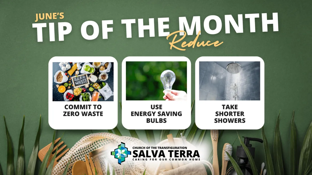 ST_Tip-of-the-Month_JUNE