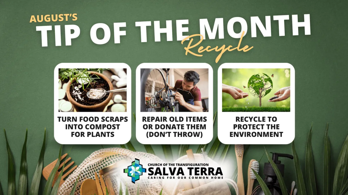 ST_Tip-of-the-Month_AUG