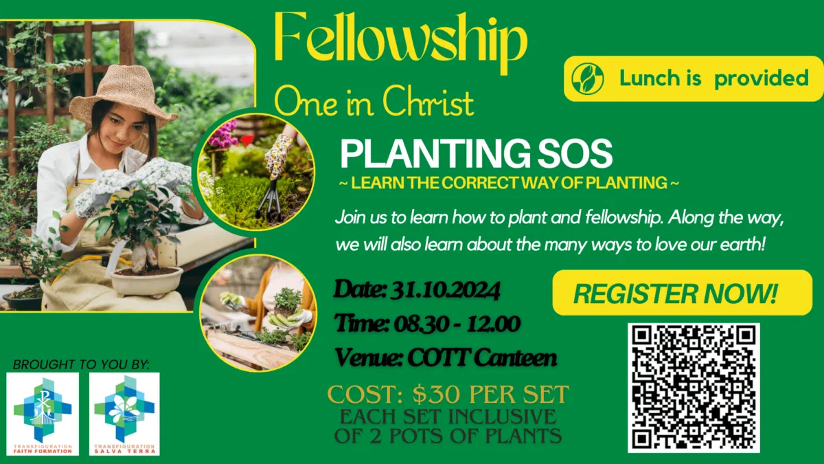 FF_ST_Planting-SOS_31-Oct