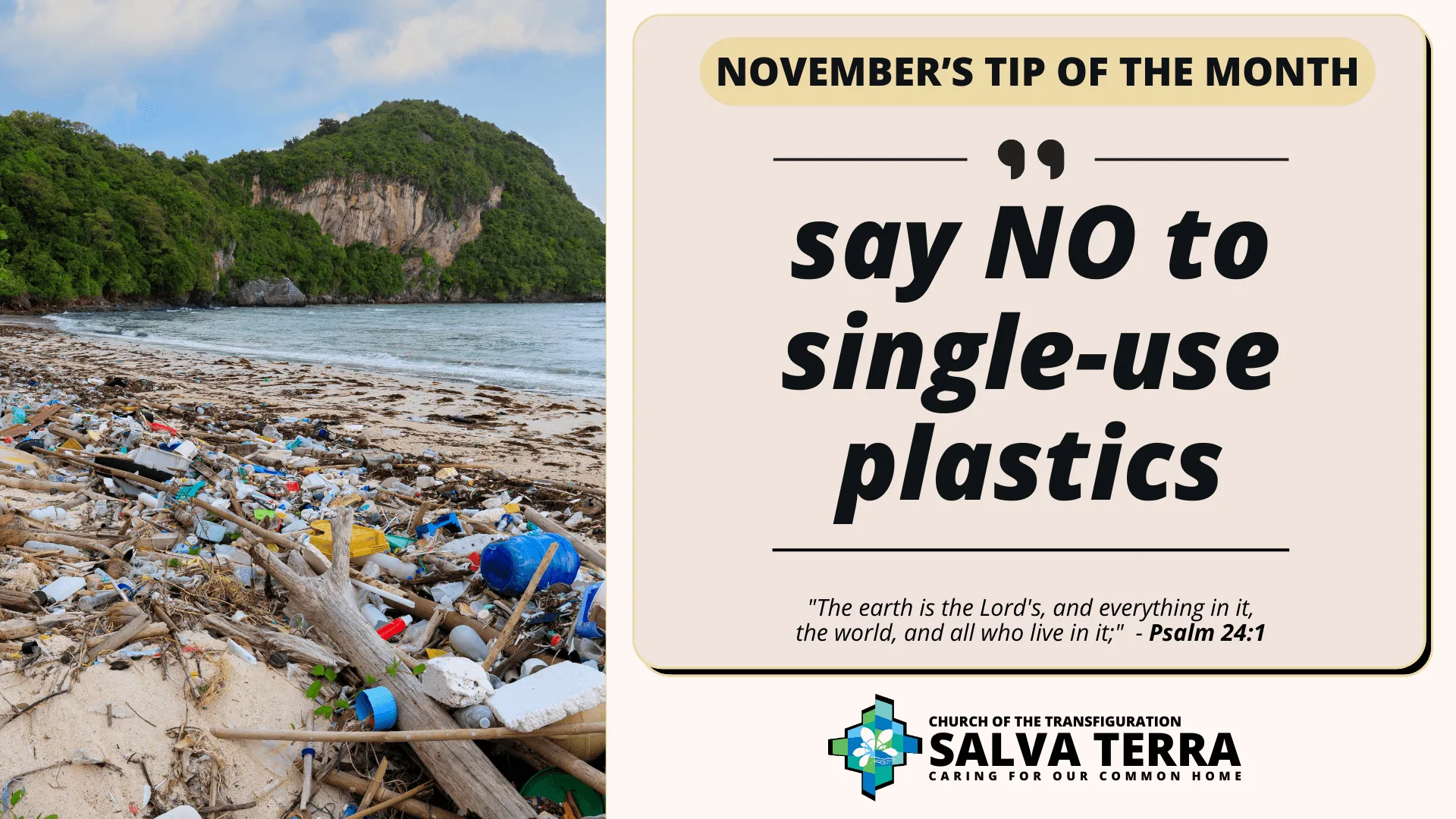 ST_Tip-of-the-Month_Nov