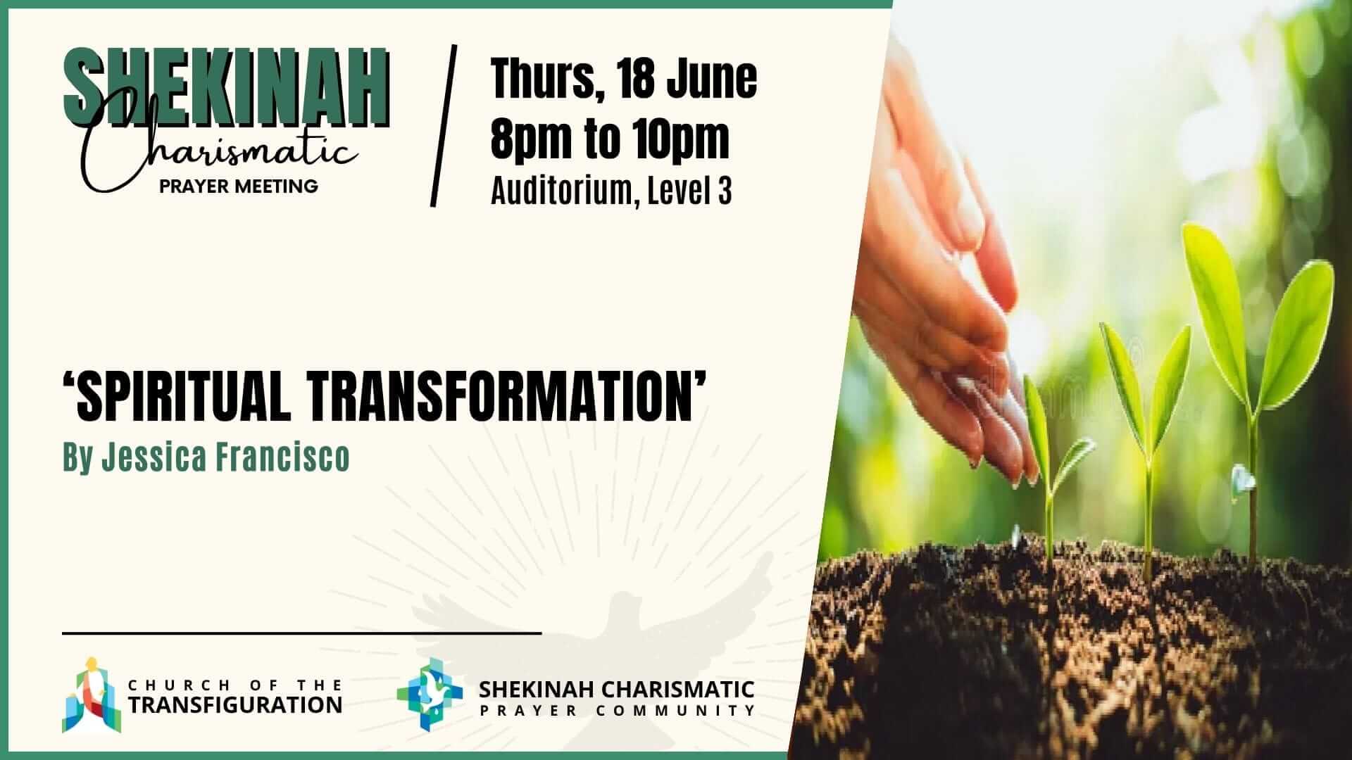 Shekinah_18-June