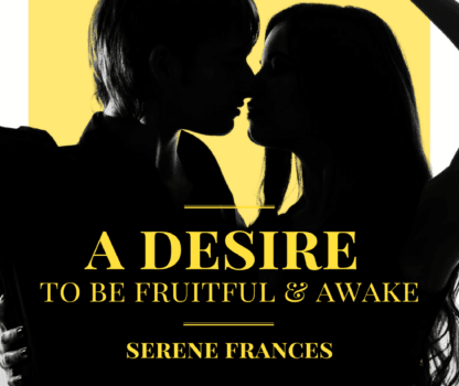 Story 3 Poster (Blog Page)