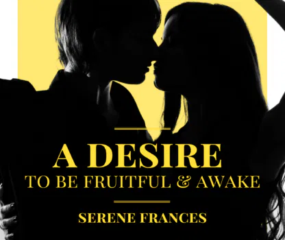 Story 3 Poster (Blog Page)